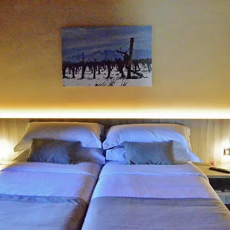 Hotel Panyella 3*